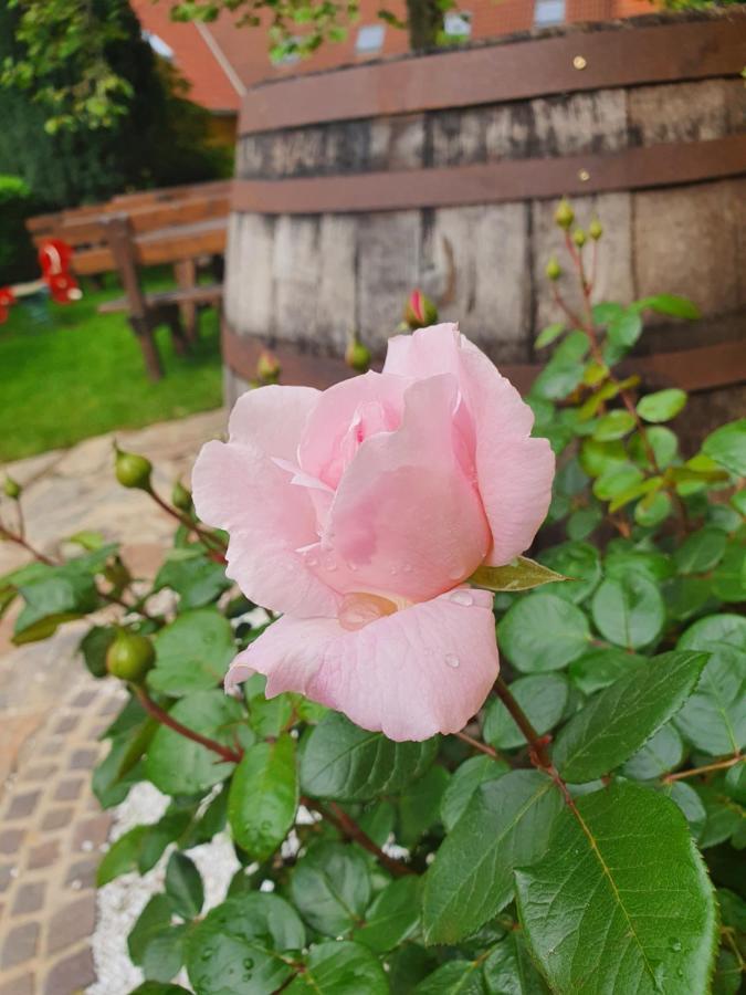Landhof Steinbaeck Hotel Sankt Stefan ob Stainz Kültér fotó