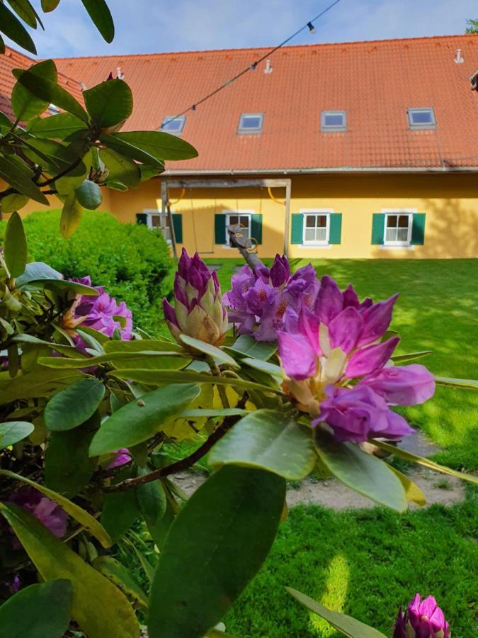 Landhof Steinbaeck Hotel Sankt Stefan ob Stainz Kültér fotó